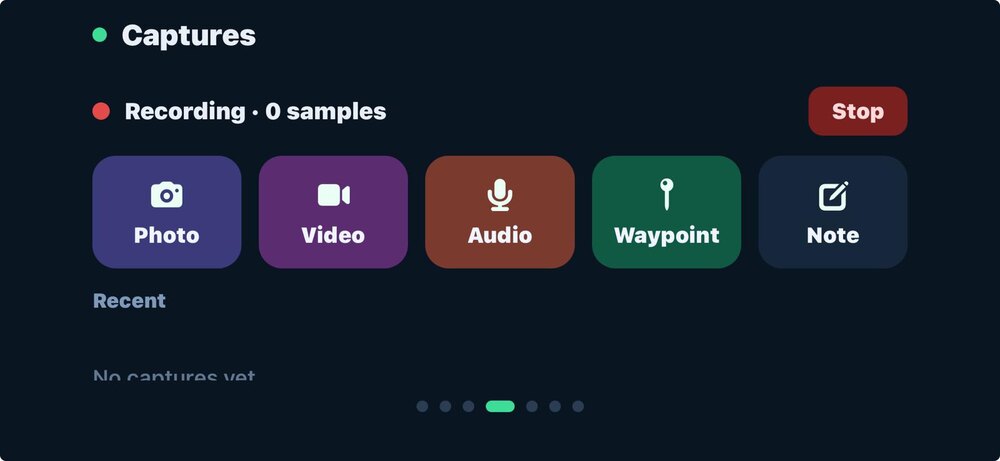 Field-capture controls on the CarPlay companion