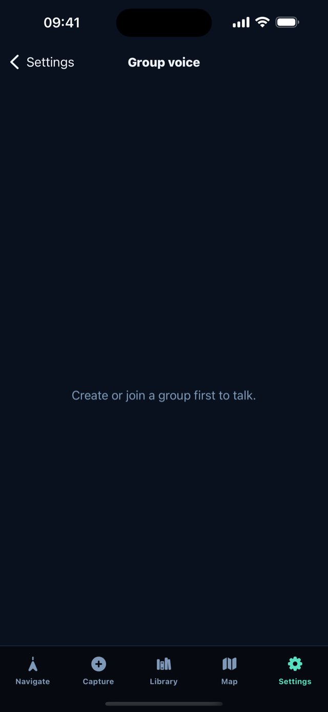 Group voice settings and channel